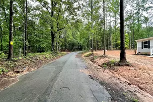 399 Charles St, Enoree, SC 29335 - Photo 37