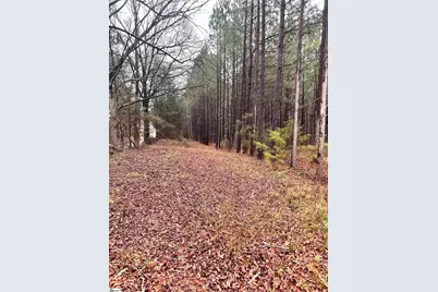 00 Columbia Road, Edgefield, SC 29832 - Photo 5