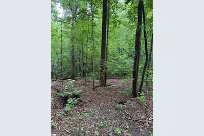 125 Cottage Side Trail, Travelers Rest, SC 29690 - Photo 5