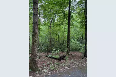 125 Cottage Side Trail, Travelers Rest, SC 29690 - Photo 3