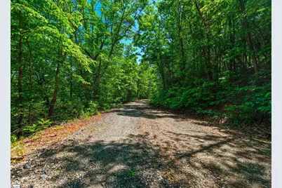 00 Dreugh Evins Drive, Pickens, SC 29671 - Photo 7