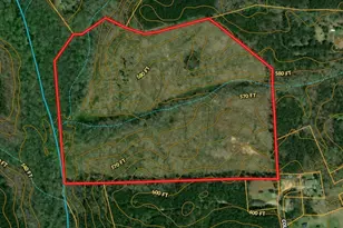 00 Coleman Rd, Clinton, SC 29325 - Photo 1