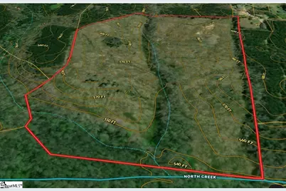 00 Coleman Road, Clinton, SC 29325 - Photo 3