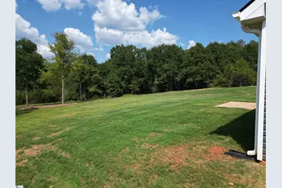 502 Hellams Road, Gray Court, SC 29645 - Photo 23
