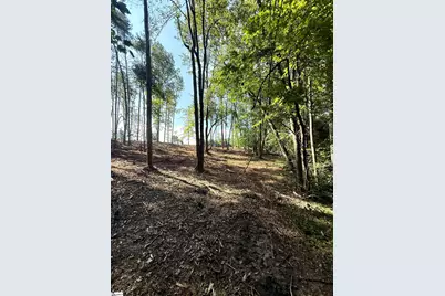 0 Thompson Road, Greer, SC 29651 - Photo 15