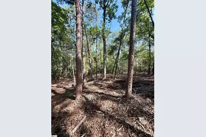 0 Thompson Road, Greer, SC 29651 - Photo 17