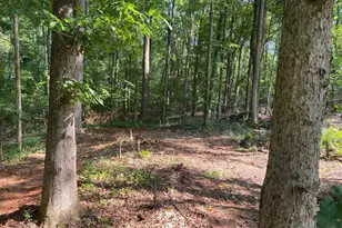 472 Knickerbocker Estate Rd, Fountain Inn, SC 29644 - Photo 21