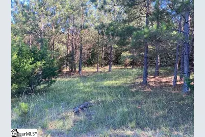 00 Cook Road, Gray Court, SC 29645 - Photo 5