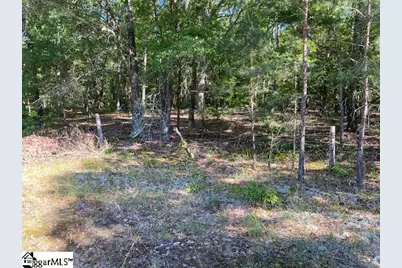00 Cook Road, Gray Court, SC 29645 - Photo 9