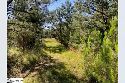 00 Cook Road, Gray Court, SC 29645 - Photo 11