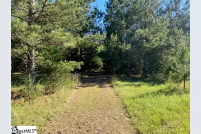 00 Cook Road, Gray Court, SC 29645 - Photo 13