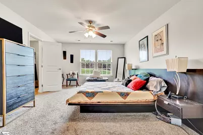 423 Christiane Way, Greenville, SC 29607 - Photo 21