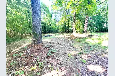 126 Major Meadows Road, Belton, SC 29627 - Photo 3