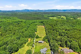 619 Little Pond Rd, Easley, SC 29640 - Photo 45