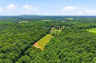 619 Little Pond Rd, Easley, SC 29640 - Photo 43
