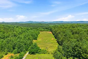 619 Little Pond Rd, Easley, SC 29640 - Photo 45