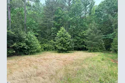 1087 Bobby Faucette Road, Jonesville, SC 29353 - Photo 3