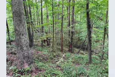 1087 Bobby Faucette Road, Jonesville, SC 29353 - Photo 33
