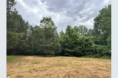 1087 Bobby Faucette Road, Jonesville, SC 29353 - Photo 35