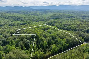 175 Green Hills Rd, Mill Spring, NC 28756 - Photo 49