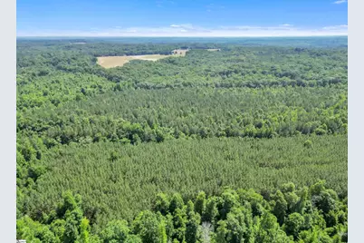 0 Simpson Mill Road, Laurens, SC 29360 - Photo 13