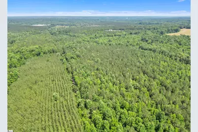 0 Simpson Mill Road, Laurens, SC 29360 - Photo 17
