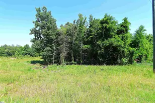 251 Crenshaw Rd, Cowpens, SC 29330 - Photo 39