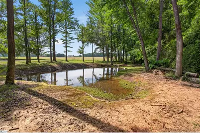 145 Old Sanders Road, Pendleton, SC 29670 - Photo 3