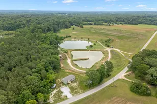 1649 Beaverdam Creek Rd, Gray Court, SC 29645 - Photo 41