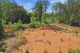 129 Tugaloo Rd, Landrum, SC 29356 - Photo 15
