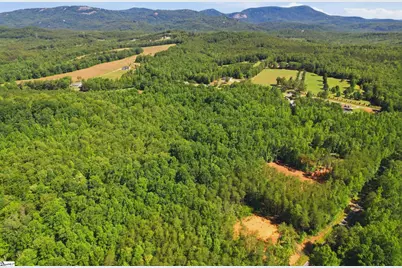 129 Tugaloo Road, Landrum, SC 29356 - Photo 21