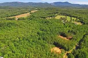 129 Tugaloo Rd, Landrum, SC 29356 - Photo 21