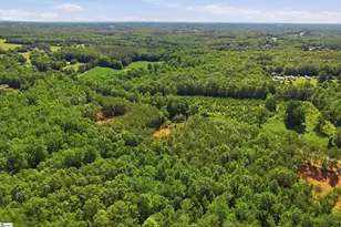 129 Tugaloo Rd, Landrum, SC 29356 - Photo 27