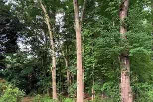 206 Mill Estate Rd, Taylors, SC 29687 - Photo 21