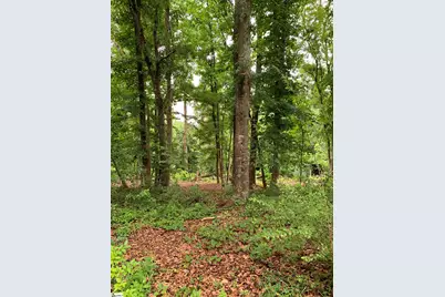 206 Mill Estate Road, Taylors, SC 29687 - Photo 21