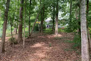 206 Mill Estate Rd, Taylors, SC 29687 - Photo 21