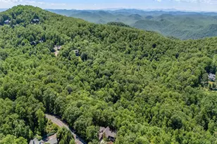 112 Blazing Star Trail, Landrum, SC 29356 - Photo 47