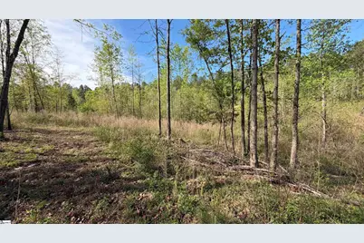 2125 Hwy 247, Belton, SC 29627 - Photo 13