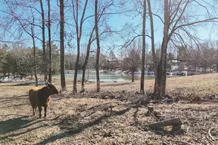 00 Boyd Rd, Laurens, SC 29360 - Photo 31
