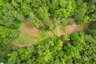 549 McKittrick Bridge Rd, Fountain Inn, SC 29644 - Photo 43