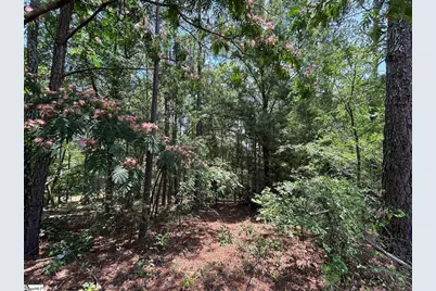 00 Serene Drive, Waterloo, SC 29384 - Photo 5