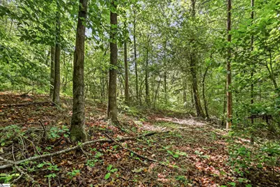 145 Night Sky Drive, Pickens, SC 29671 - Photo 37