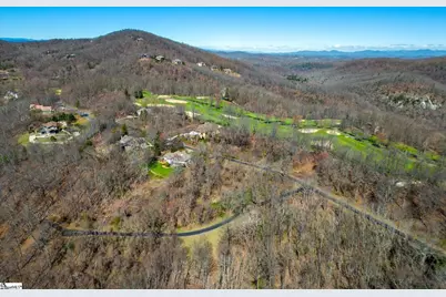 68 May Apple Way, Landrum, SC 29356 - Photo 5