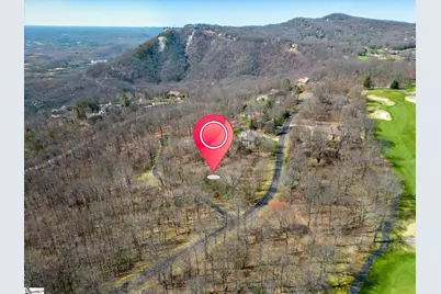 68 May Apple Way, Landrum, SC 29356 - Photo 5