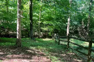 161 Timberlake Dr, Inman, SC 29349 - Photo 3