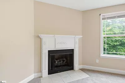 101 Tigris Way, Greenville, SC 29607 - Photo 9