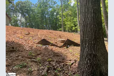 00 Sweet Gum Drive #Lot 28, Westminster, SC 29693 - Photo 3