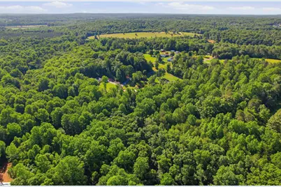 455 Hindman Road, Travelers Rest, SC 29690 - Photo 49