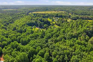 455 Hindman Rd, Travelers Rest, SC 29690 - Photo 49