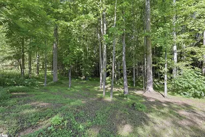 455 Hindman Road, Travelers Rest, SC 29690 - Photo 41
